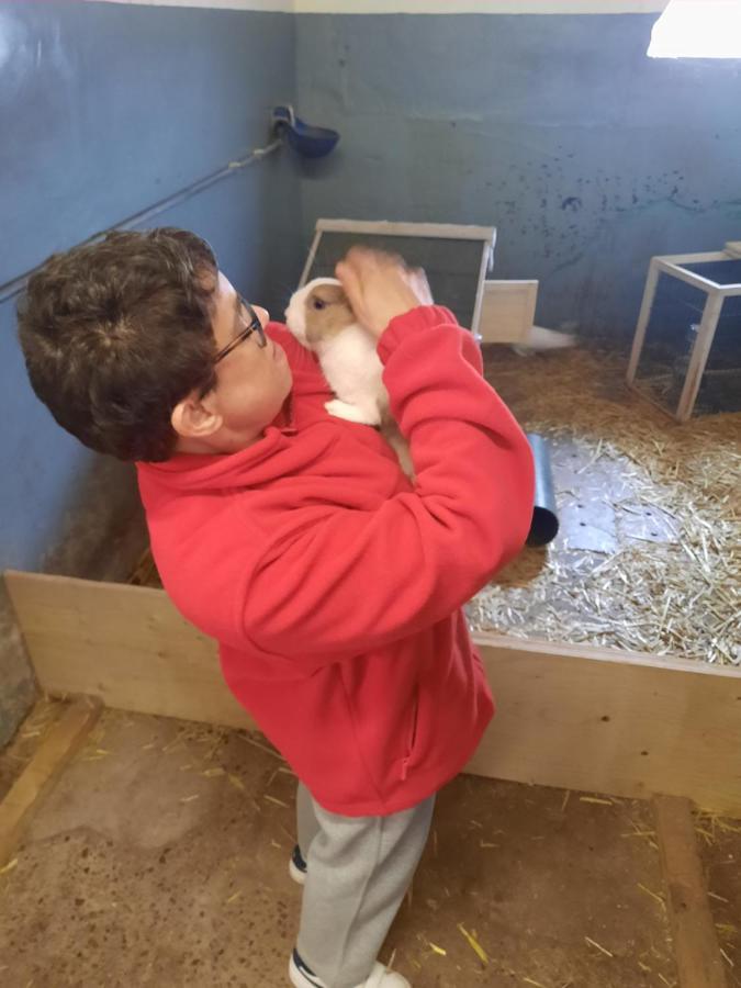 Hoevetoerisme Op 'T Zand Villa NeerNeerpelt Exteriör bild